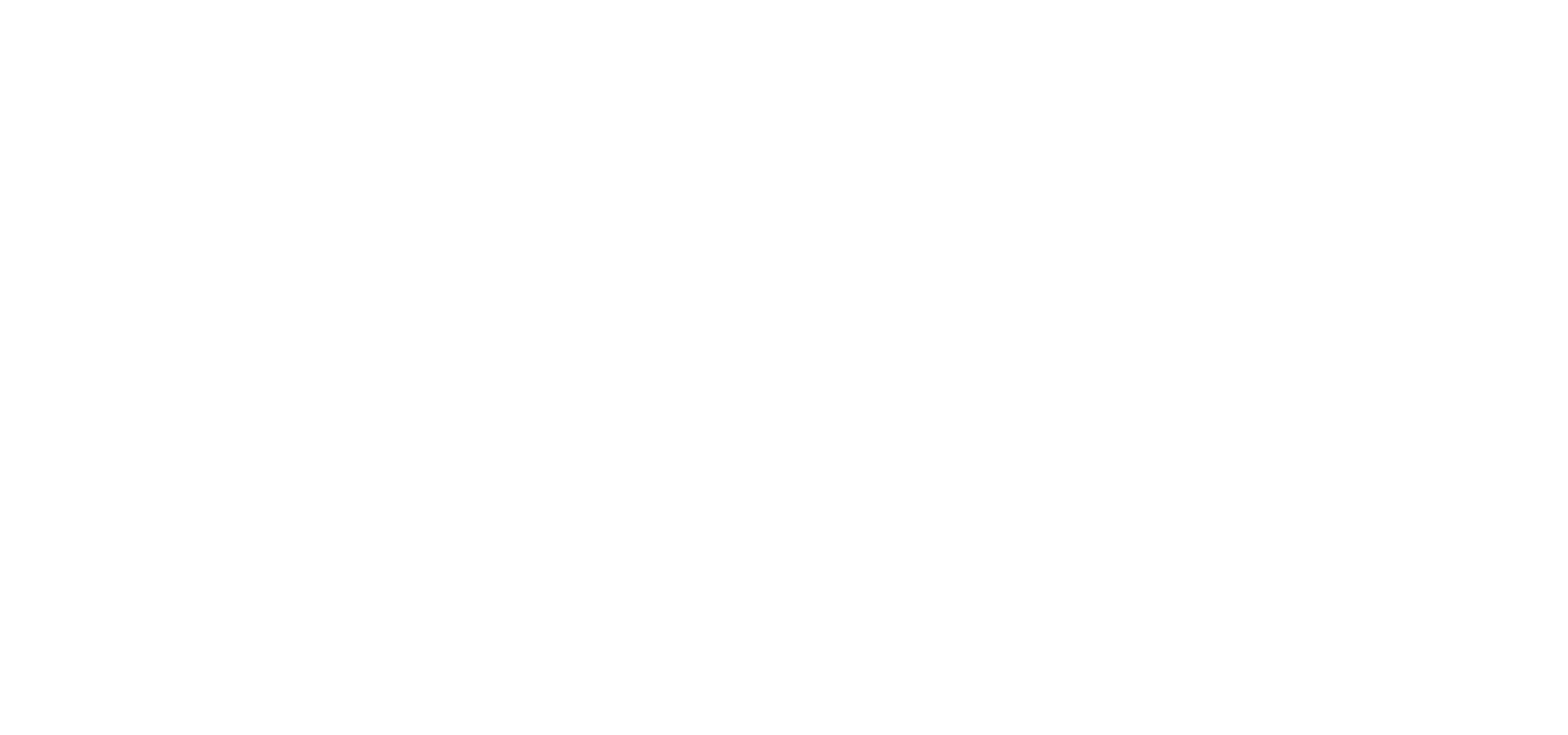 Avionics Support Group